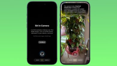 iOS 27 Brings Siri to the Home Screen, But Only on Select iPhones