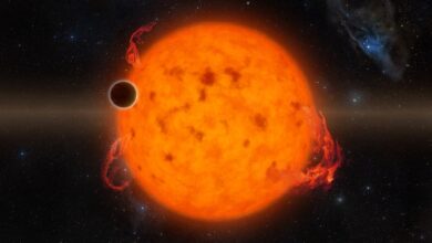 TOI-1883 b Turns Out Far Lighter Than Expected, A Rare “Puffy” Planet Near Its Star