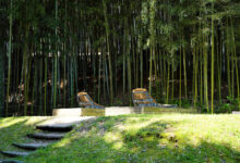 6 Gemini AI Prompts for Bamboo Forest Photos That Still Look Natural