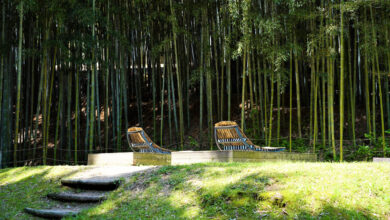 6 Gemini AI Prompts for Bamboo Forest Photos That Still Look Natural