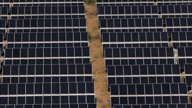 Tunisia’s Green Transition Is Running Into A Hard Reality, And A Public Backlash