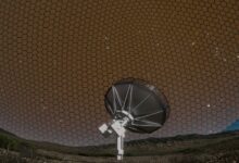 Deep Synoptic Array Is Set to Map the Sky Faster Than Anything Before It