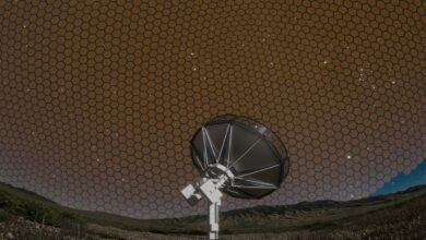 Deep Synoptic Array Is Set to Map the Sky Faster Than Anything Before It