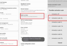 Android Settings That Can Make Your Phone Feel Faster, Without New Hardware
