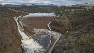 River Turbines in Germany Deliver Power Without a Dam, and Fish Still Pass Safely