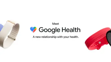 Fitbit’s Most Missed Feature Is Back, and Google Health Changes Feel More Complete