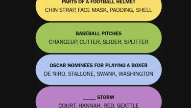 Four Categories, One Tricky Grid, NYT Connections Sports #637 Mixes Stars and Sneaker Culture