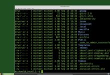 A Linux Distro Built to Outlast Centuries, It Runs on One Tiny Instruction