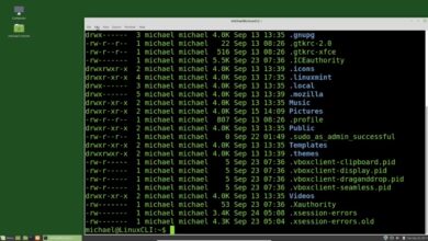A Linux Distro Built to Outlast Centuries, It Runs on One Tiny Instruction