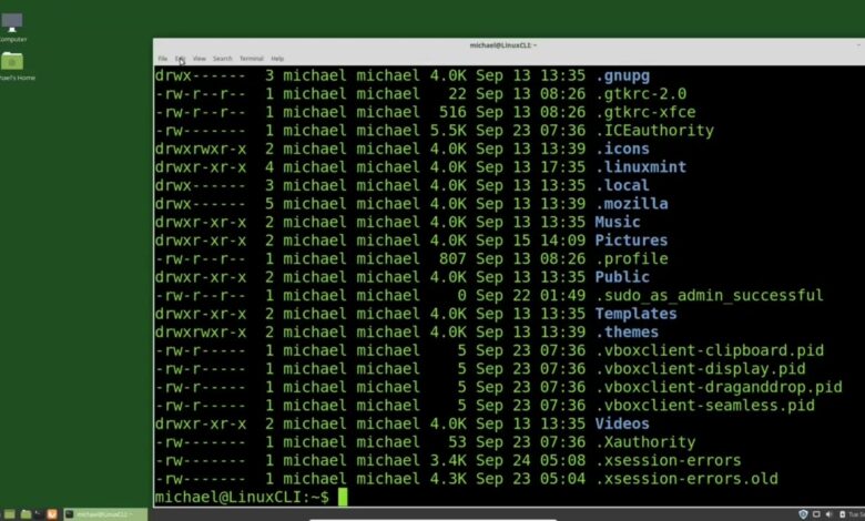 A Linux Distro Built to Outlast Centuries, It Runs on One Tiny Instruction