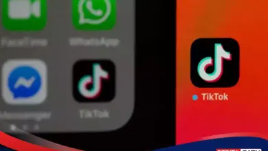 TikTok’s AI-Low-Quality Feed Is Flooding Kids’ Content, And The Risks Are Growing