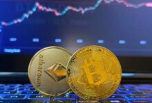 Bitcoin Slumps to Multi-Year Lows, but the Market Is Stirring Again