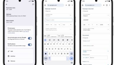 Chrome’s Autofill Gets Smarter, Travel And Vehicle Data Are Now Easier To Fill