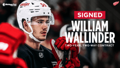 Red Wings Lock In William Wallinder, A Quiet Move With Bigger Stakes Ahead