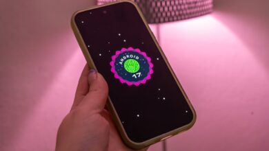 Pixel’s Wallpaper Shuffle Leak Hints at Google’s Next iPhone-Style Move