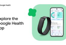 Google Closes the Fitbit Escape Hatch, Old App Versions Face a Hard Deadline