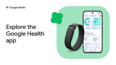 Google Closes the Fitbit Escape Hatch, Old App Versions Face a Hard Deadline