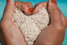Love Island Betting Odds 2026, The Early Markets Already Look Unstable