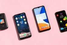5 Budget Phones for Students, One Big Screen Makes Studying Easier