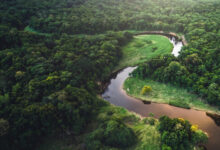 SEEAA Fund II Pushes Clean Energy Startups Forward, Indonesia Remains in Focus