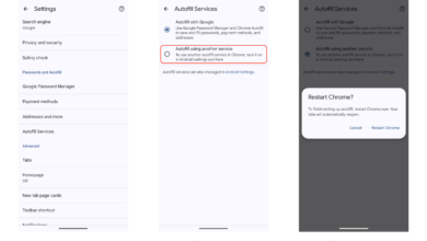 Chrome Autofill on Mobile Gets Smarter, Google Wallet Now Handles More Forms