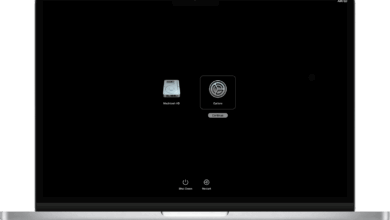 MacBook Black Screen, Check These Simple Steps Before Assuming the Worst