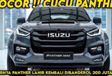 Panther Mini 2026 Stands Out With a Compact Body and a Surprisingly Spacious Cabin