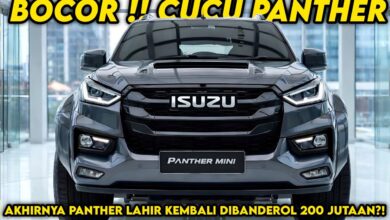 Panther Mini 2026 Stands Out With a Compact Body and a Surprisingly Spacious Cabin